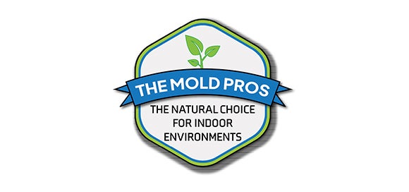 Mold Pros Logo